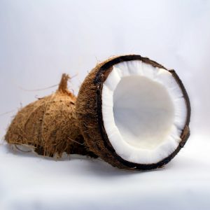 coconut-1125_1280